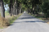 Urz�d Miejski w Wolsztynie