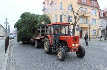 Urzd Miejski w Wolsztynie