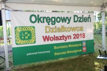 Urzd Miejski w Wolsztynie