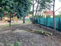 Urz�d Miejski w Wolsztynie