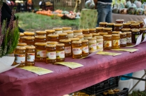 Urz�d Miejski w Wolsztynie