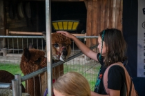 Urz�d Miejski w Wolsztynie