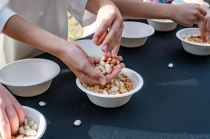 Urz�d Miejski w Wolsztynie