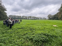 Urz�d Miejski w Wolsztynie