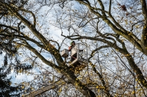 Urz�d Miejski w Wolsztynie