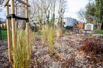 Urz�d Miejski w Wolsztynie