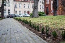 Urz�d Miejski w Wolsztynie