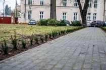 Urz�d Miejski w Wolsztynie