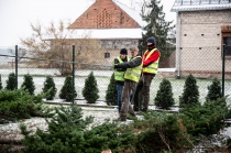 Urz�d Miejski w Wolsztynie