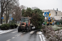 Urz�d Miejski w Wolsztynie