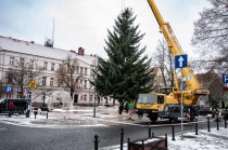 Urz�d Miejski w Wolsztynie