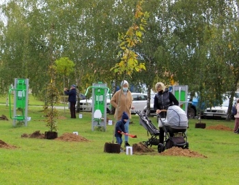 Urzd Miejski w Wolsztynie