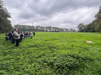 Urz�d Miejski w Wolsztynie