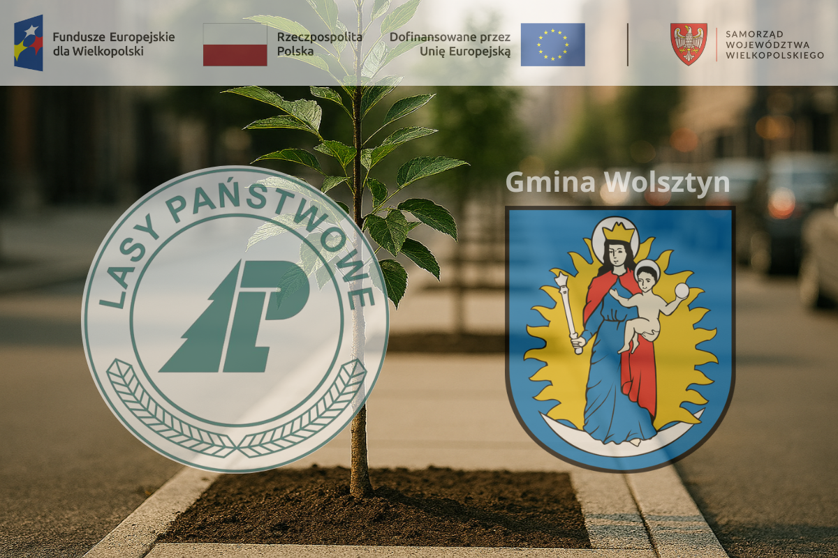 Urz�d Miejski w Wolsztynie