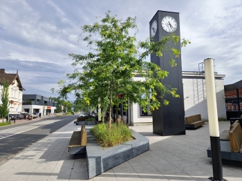 Urz�d Miejski w Wolsztynie