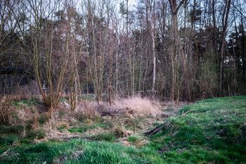 Urz�d Miejski w Wolsztynie